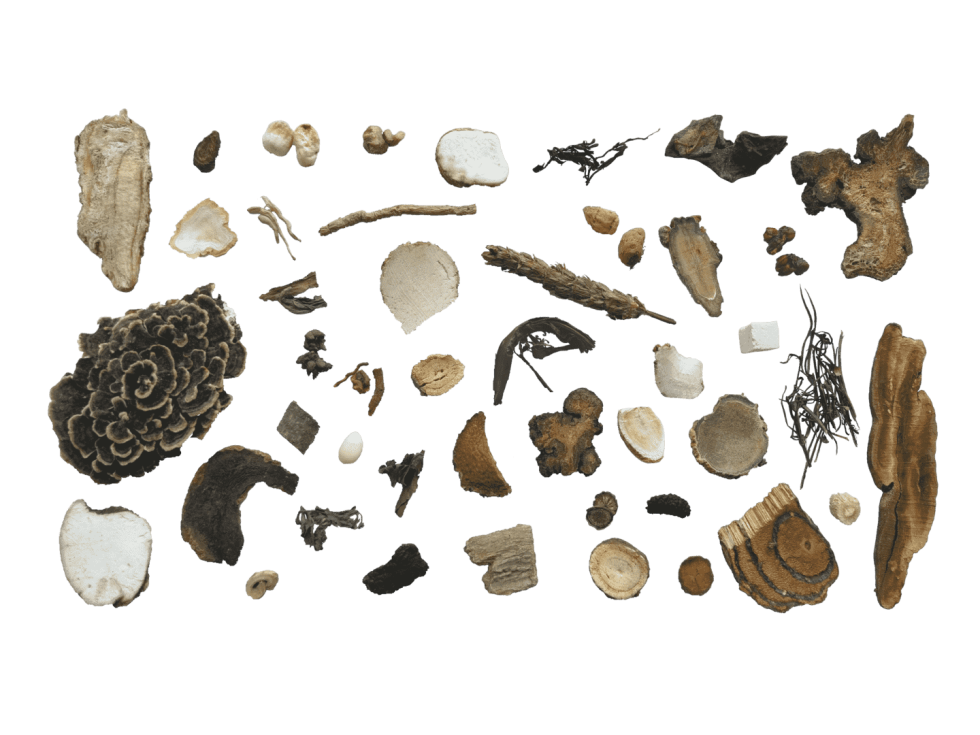 Chinese Herbs for Dog Anxiety - TCMVET