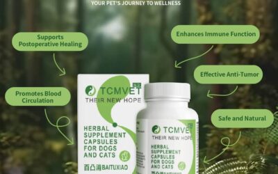 TCMVET: Mejorando el bienestar de las mascotas con la medicina veterinaria tradicional china