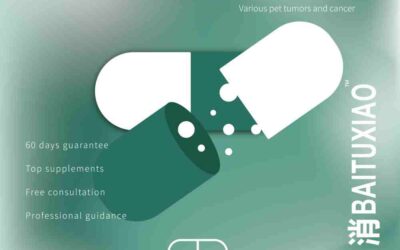 犬の乳がんの理解と管理：TCMVET BAITUXIAO による総合的アプローチ