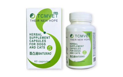 How TCMVET Baituxiao Supports Pet Immunity and Overall Health