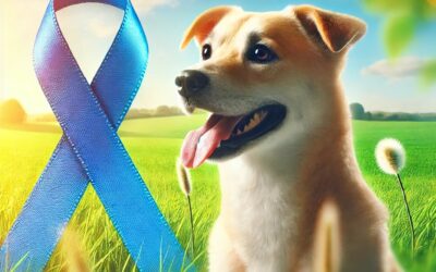 Tagamet et Benadryl : un duo surprenant dans la lutte contre le cancer canin