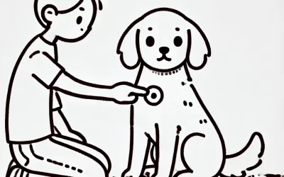 Cómo examinar bultos en el cuerpo de tu perro: ¿cuándo buscar atención veterinaria?
