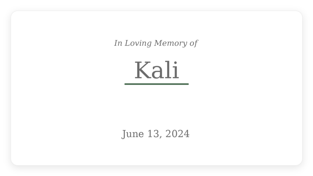 In Loving Memory of Kali — June 13, 2024