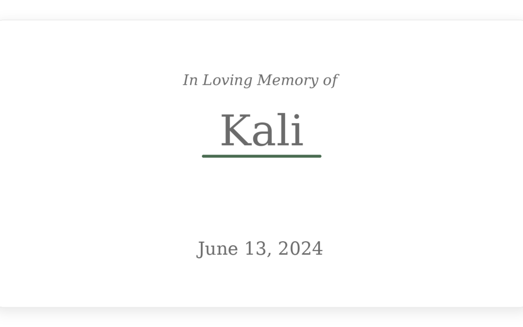 In Loving Memory of Kali — June 13, 2024