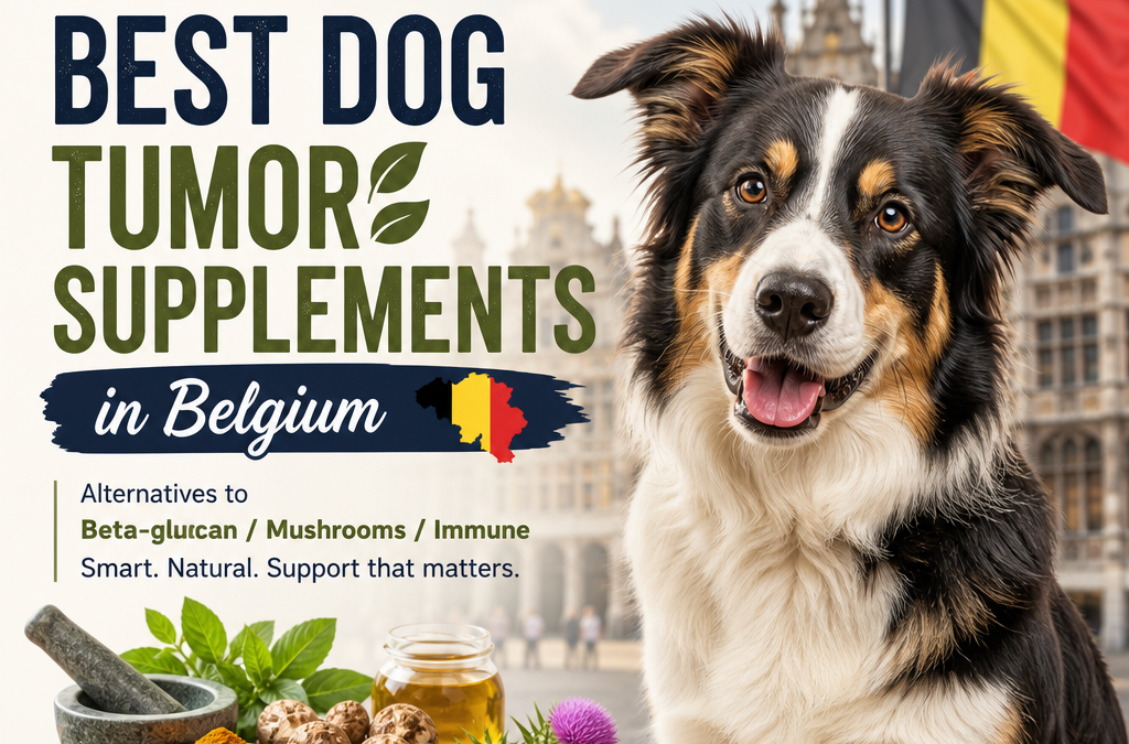Alternatives to Beta-glucan / mushrooms / immune: 7 Best Dog Tumor Supplements in Belgium
