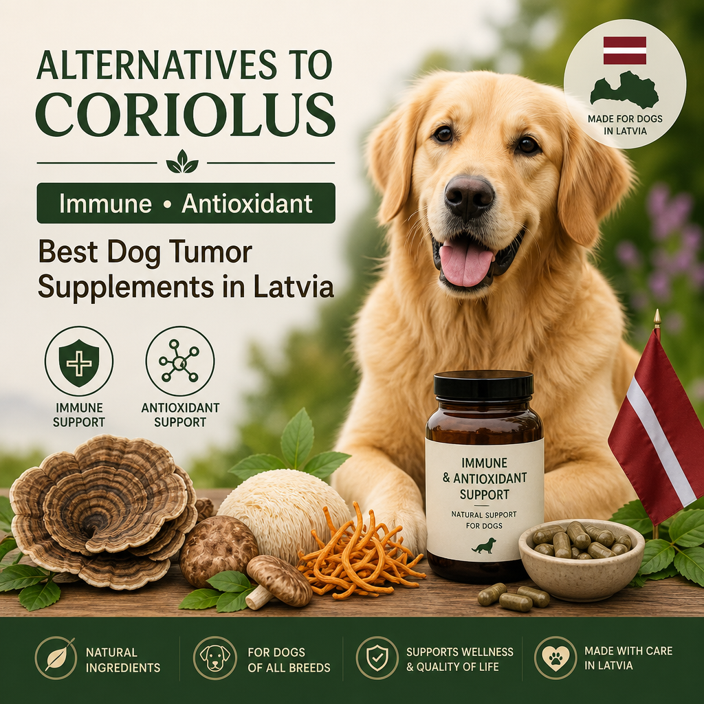 Alternatives to Coriolus / Immune / Antioxidant: 7 Best Dog Tumor Supplements in Latvia 2 alternatives to Coriolus / immune / antioxidant illustration