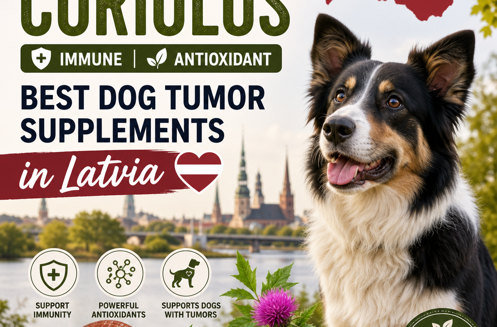 Alternatives to Coriolus / Immune / Antioxidant: 7 Best Dog Tumor Supplements in Latvia