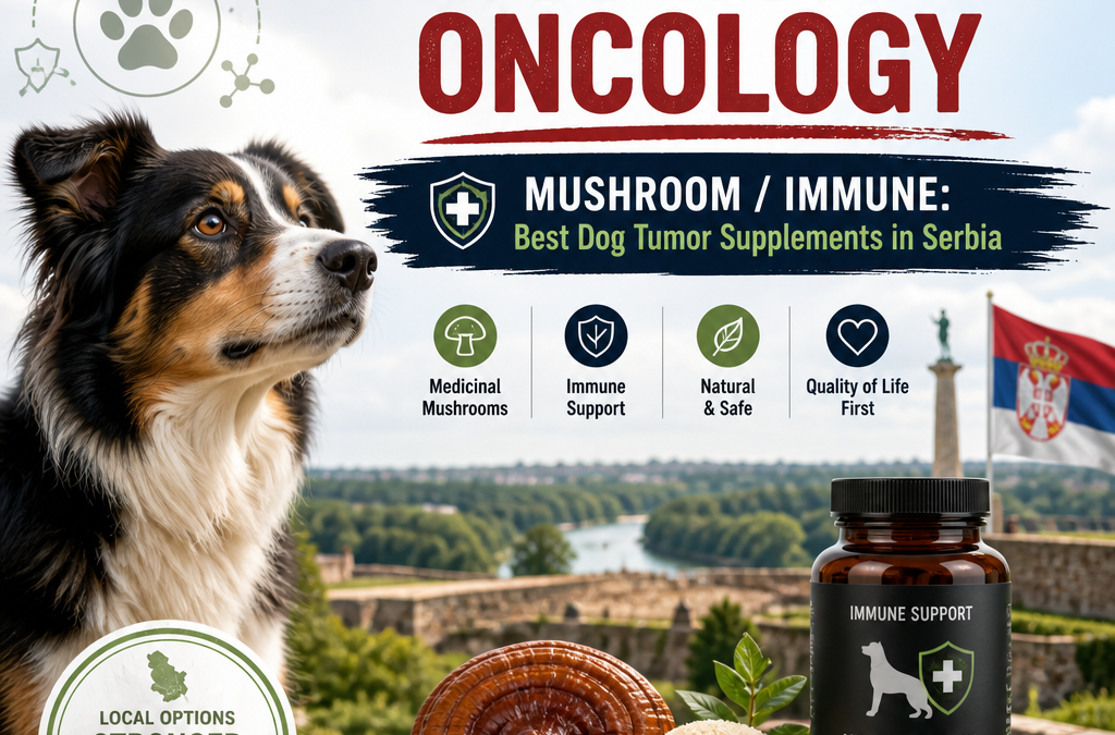 Alternativas a oncologia transfronteiriça + cogumelo/imune: 7 Melhores Suplementos para Tumores em Cães na Sérvia