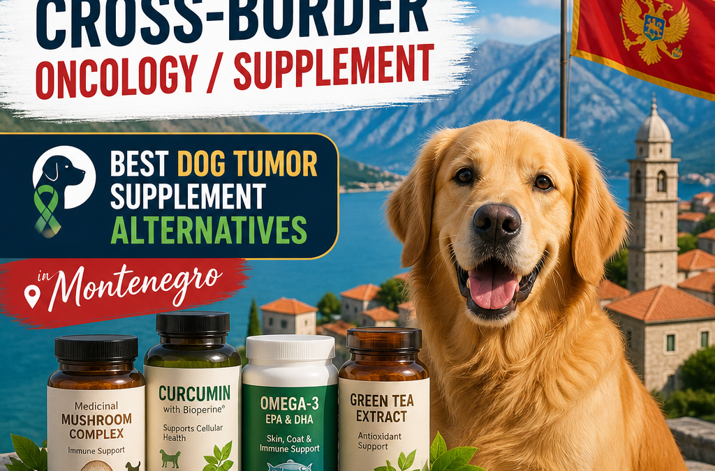 Alternativas a oncologia / suplementos transfronteiriços: 7 Melhores Alternativas de Suplementos para Tumores em Cães no Montenegro