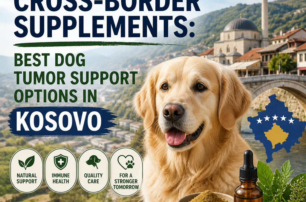 Alternativas a Suplementos Transfronteiriços: 7 Melhores Opções de Suporte a Tumores em Cães no Kosovo
