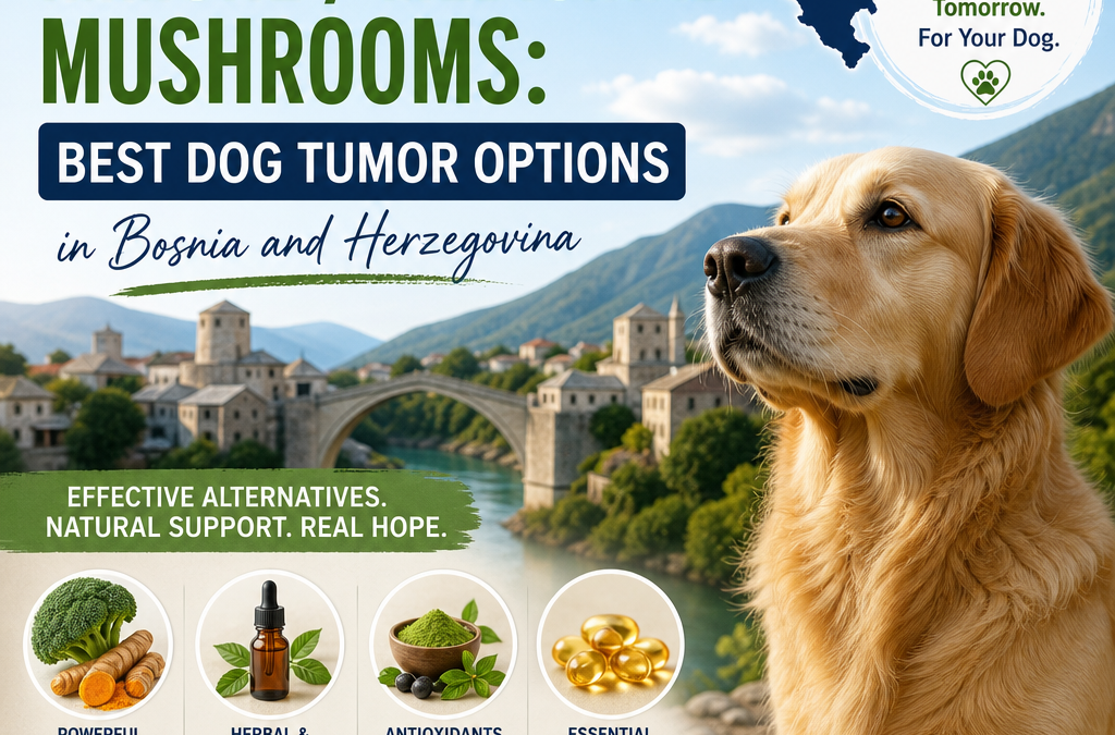 Alternatives to Immune / medicinal mushrooms: 7 Best Dog Tumor Options in Bosnia and Herzegovina