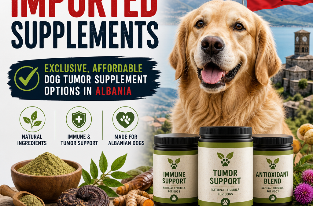 Alternativas a suplementos importados: 7 Opções Inteligentes e Acessíveis de Suplementos para Tumores em Cães na Albânia