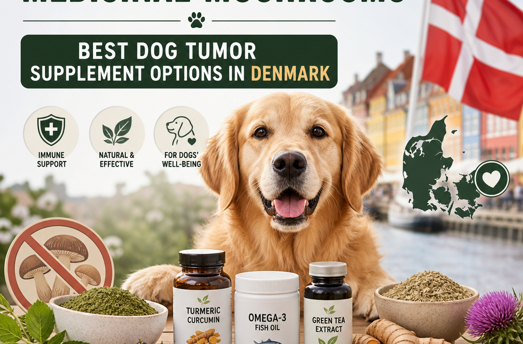 Alternatives to Medicinal Mushrooms: 7 Best Dog Tumor Supplement Options in Denmark