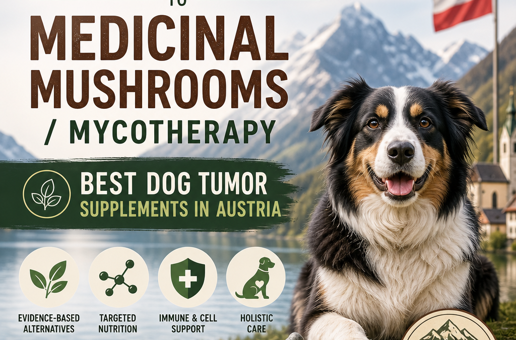 Alternatives to Medicinal mushrooms / mycotherapy: 7 Powerful Dog Tumor Support Options in Austria