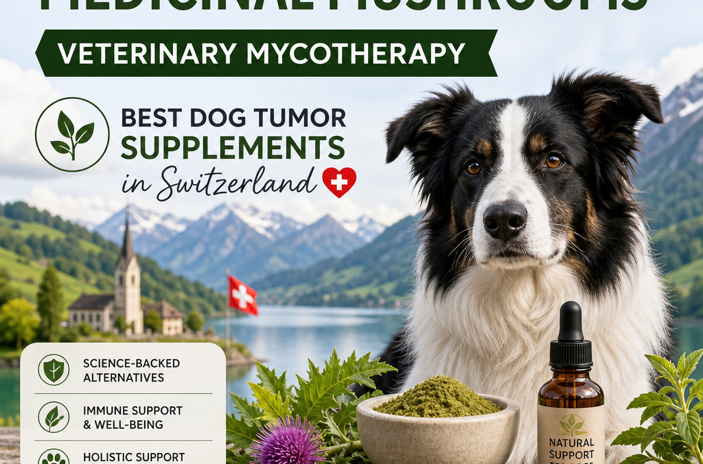 Illustration of Alternatives to Medicinal Mushrooms / Veterinary Mycotherapy: Best Dog Tumor Supplements in Switzerland