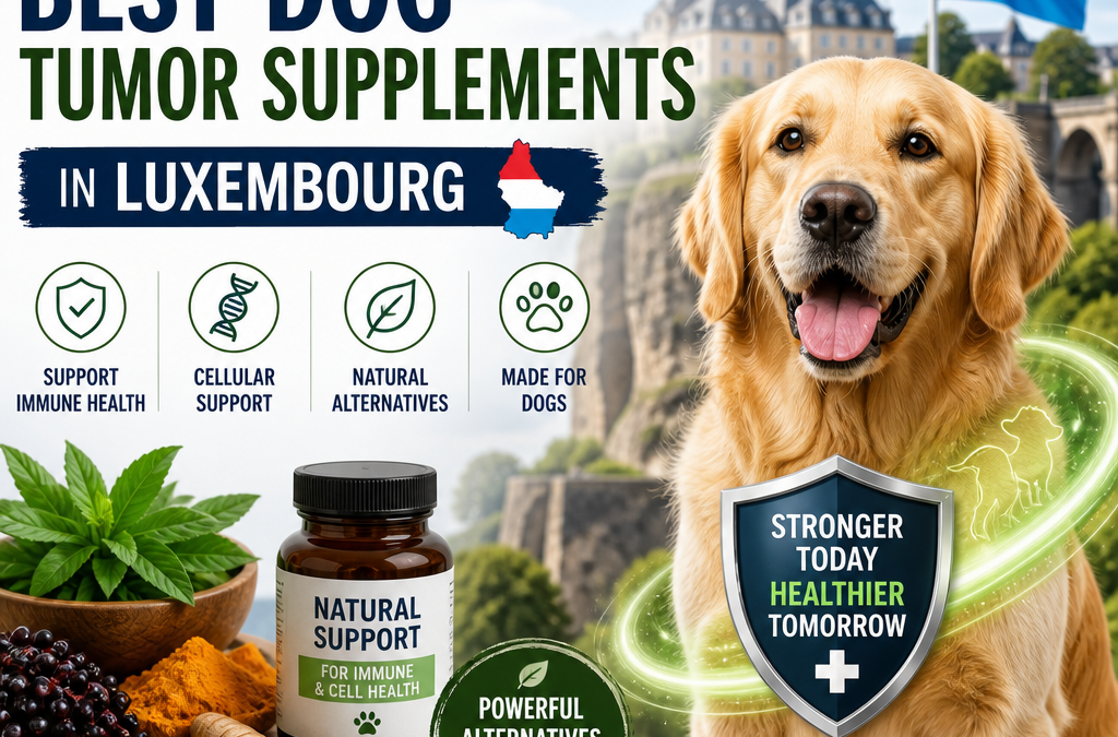 Alternatives to Mushrooms / Immune: 7 Best Dog Tumor Supplements in Luxembourg