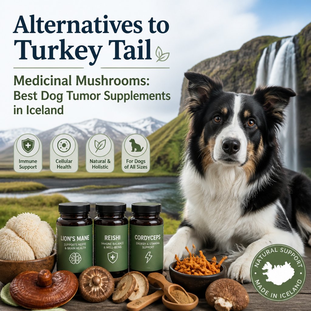 ilustração de alternativas ao Turkey Tail / cogumelos medicinais