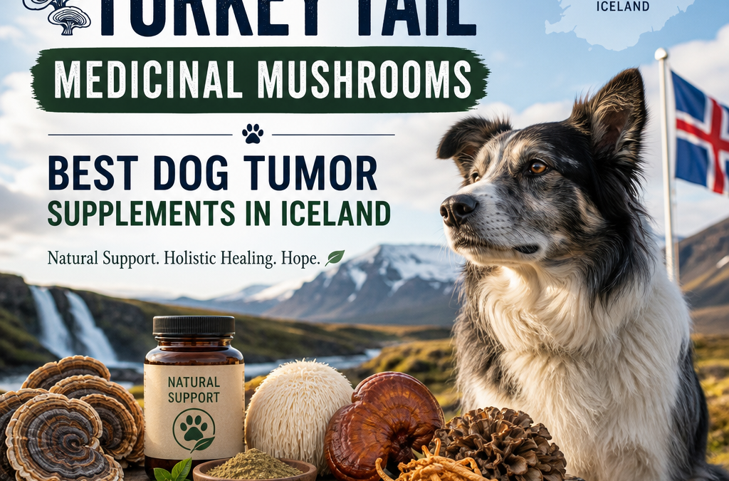 Alternativas ao Turkey Tail / Cogumelos Medicinais: 7 Melhores Suplementos para Tumores em Cães na Islândia
