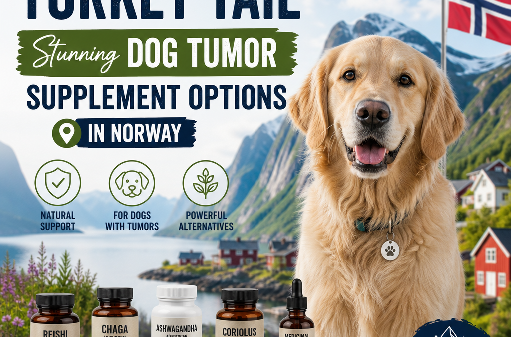 Illustration of Alternatives to Turkey Tail: Stunning Dog Tumor Supplement Options in Norway