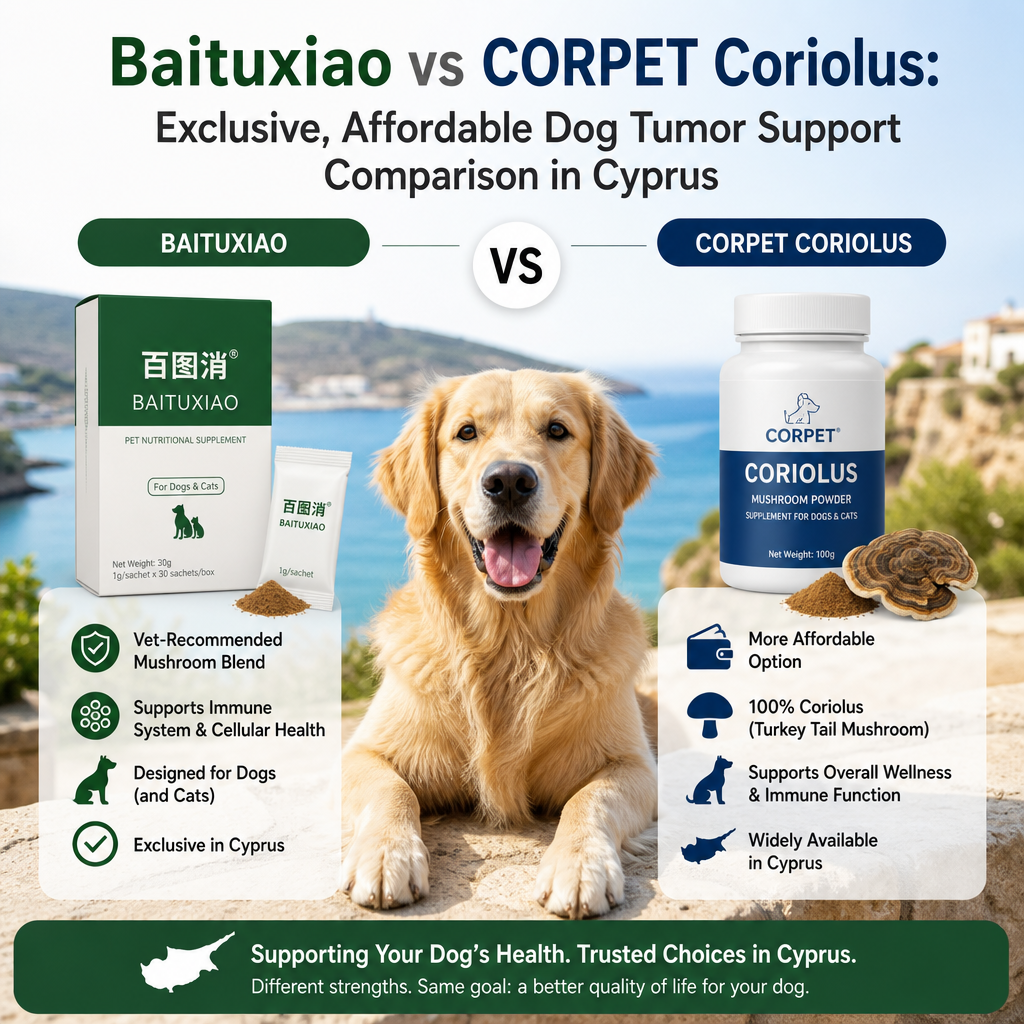 Baituxiao vs CORPET Coriolus: 3 Exclusive, Smart, and Positive Factors for Dog Owners in Cyprus 1 Baituxiao vs CORPET Coriolus illustration