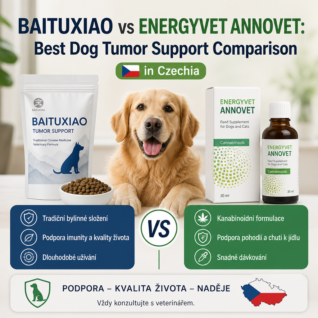 Baituxiao vs Energyvet Annovet: 7 Best Dog Tumor Support Comparison in Czechia 2 Baituxiao vs Energyvet Annovet illustration