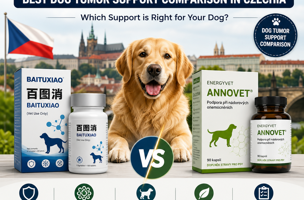 Baituxiao vs Energyvet Annovet: 7 Melhores Comparações de Suporte a Tumores em Cães na Chequia