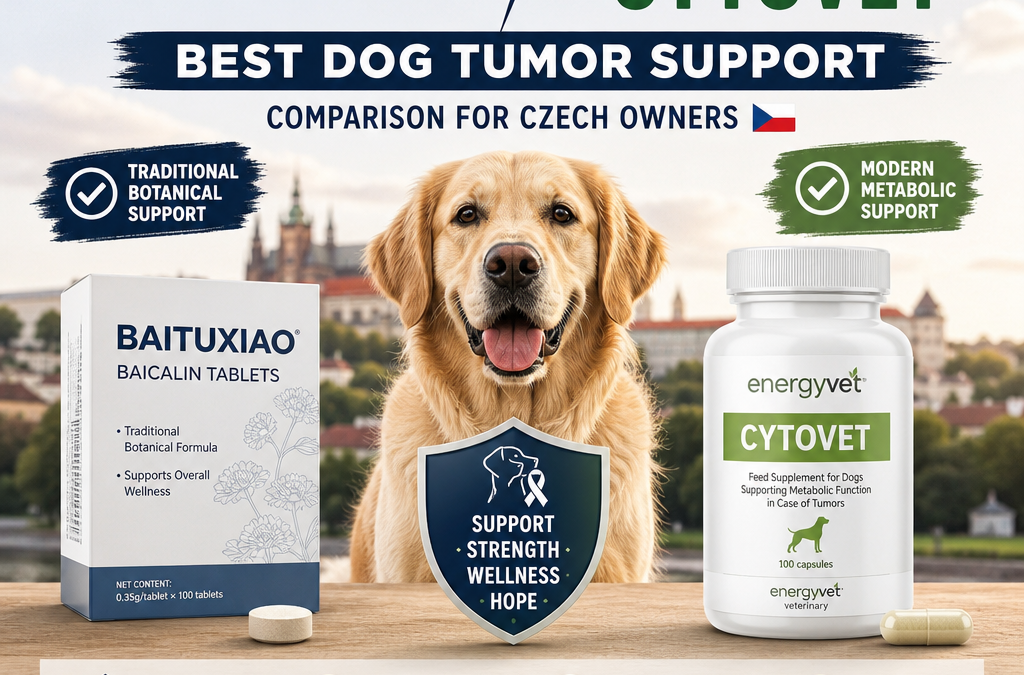 Baituxiao vs Energyvet Cytovet: 5 Key Factors Czech Dog Owners Should Compare