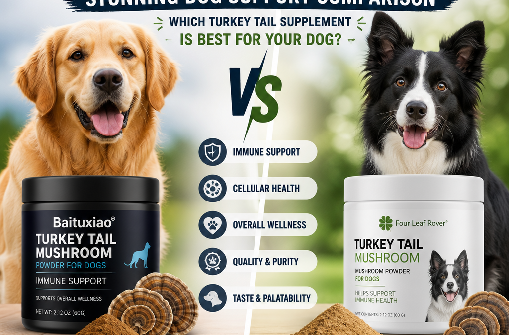 Baituxiao vs Four Leaf Rover Turkey Tail: 7 Powerful Dog Support Differences