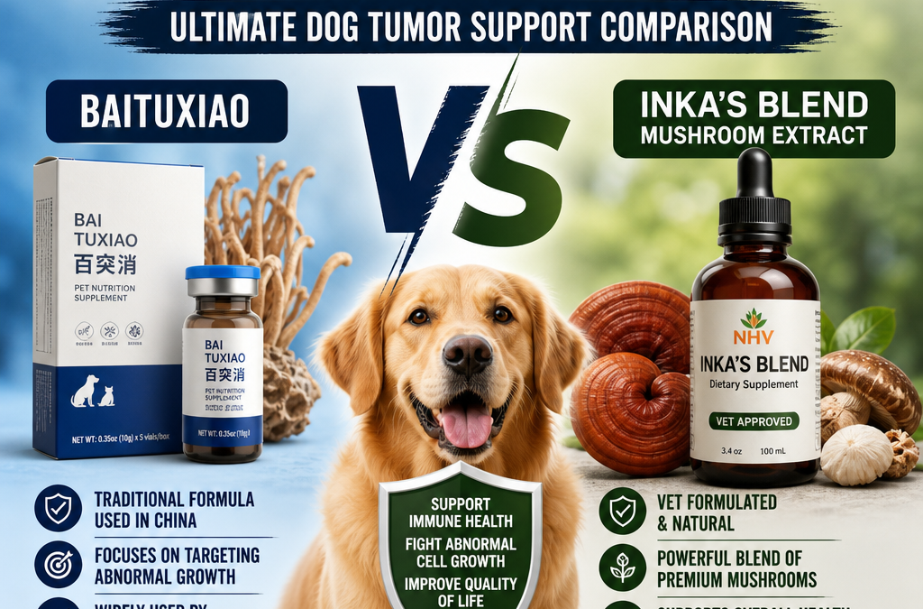 Baituxiao vs Inka’s Blend Mushroom Extract: 7 Powerful Key Differences for Dog Owners