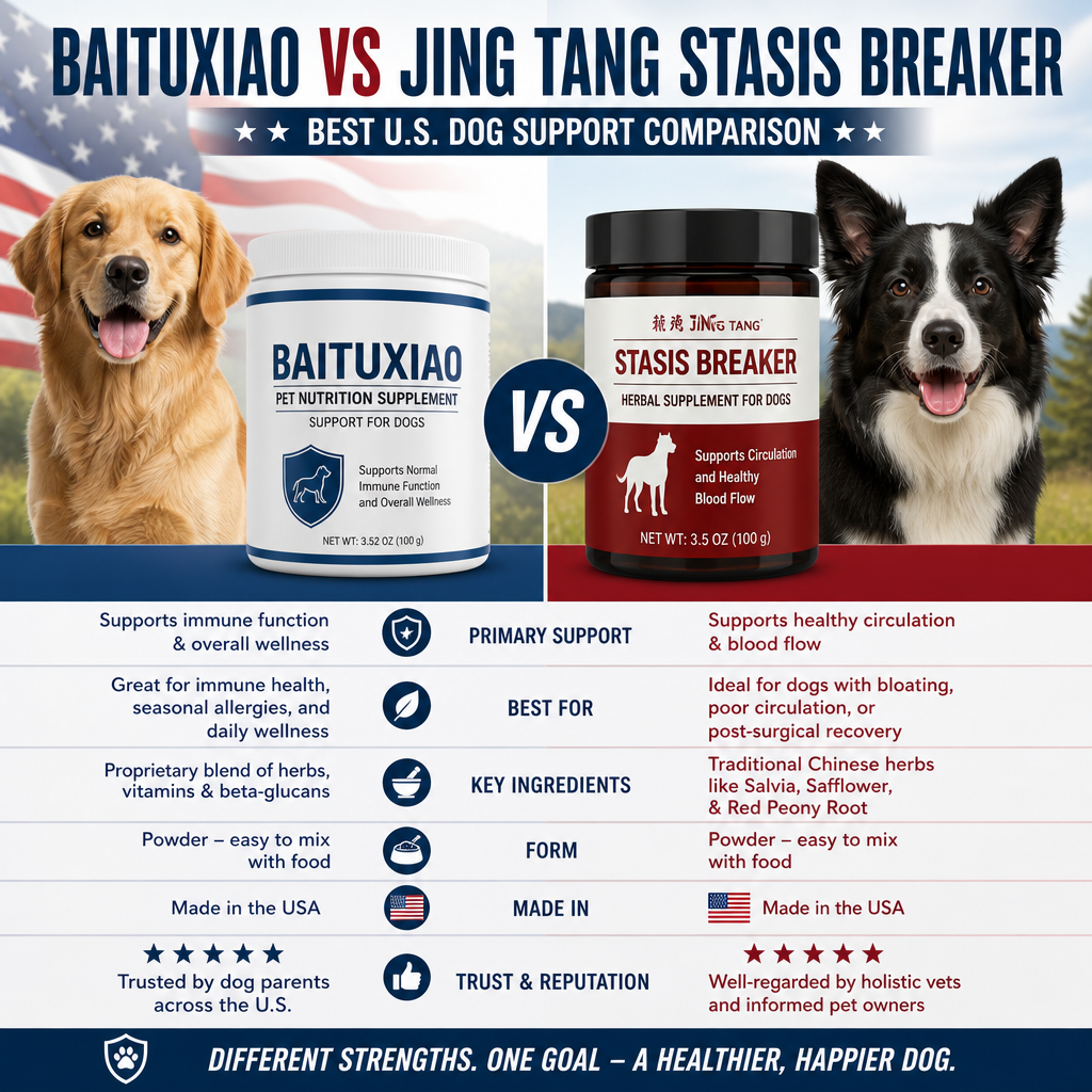 Baituxiao vs Jing Tang Stasis Breaker illustration