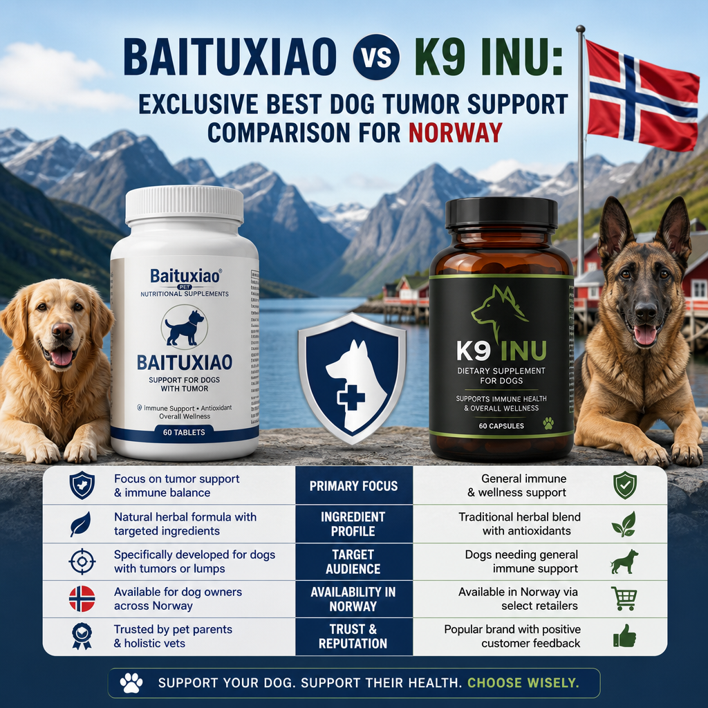 Baituxiao vs K9 INU: 7 Powerful Key Factors for Dog Owners in Norway 1 Baituxiao vs K9 INU illustration