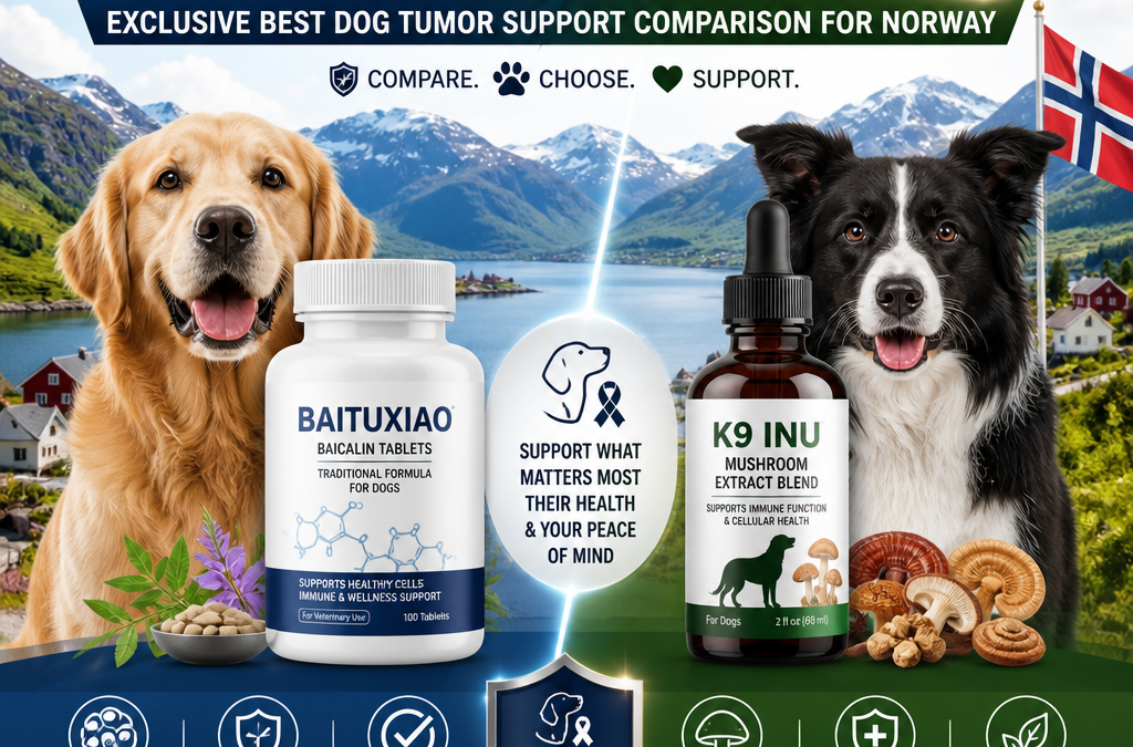 Baituxiao vs K9 INU: 7 Powerful Key Factors for Dog Owners in Norway