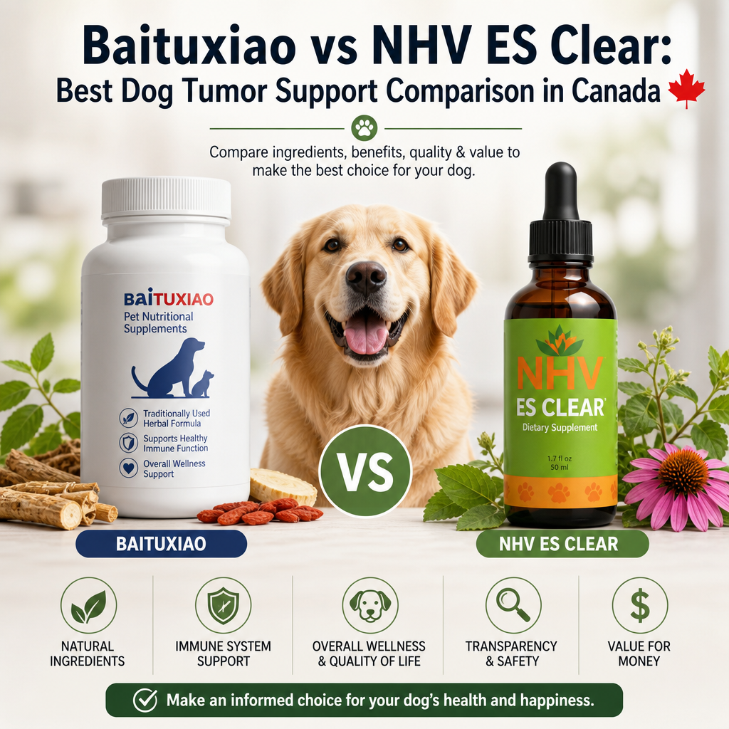 Baituxiao vs NHV ES Clear: 7 Best Dog Tumor Support Tips for Canada 4 Baituxiao vs NHV ES Clear illustration