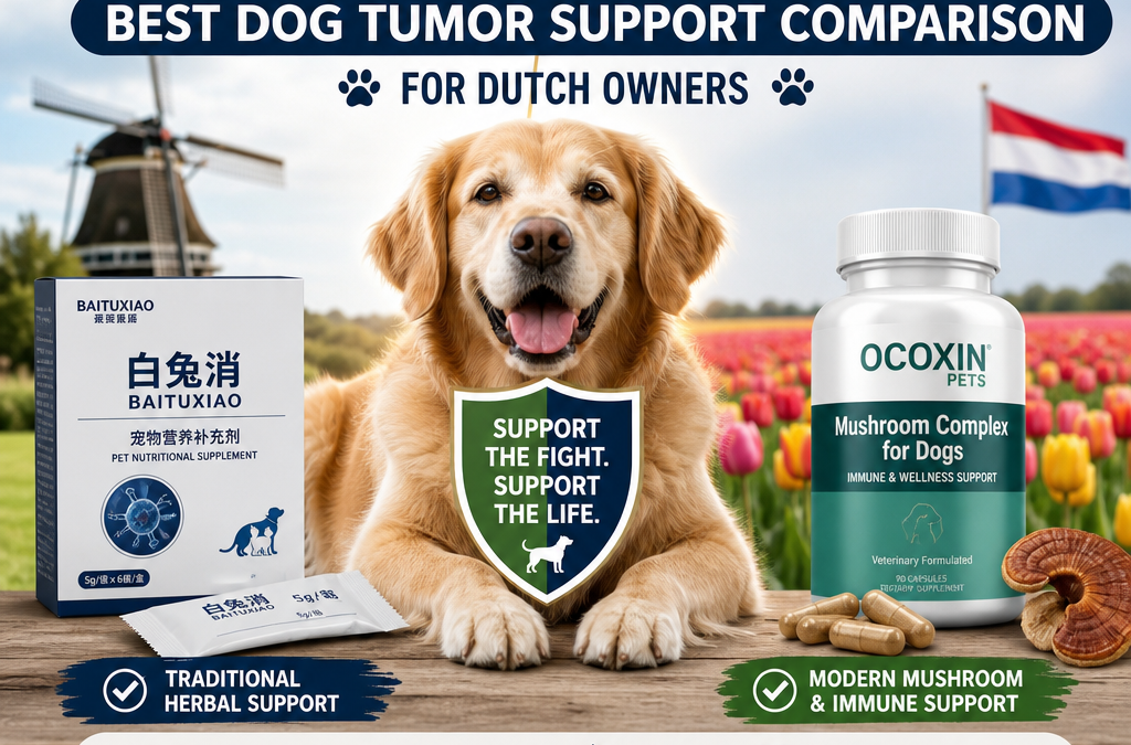 Illustration of Baituxiao vs Ocoxin Pets: Best Dog Tumor Support Comparison for Dutch Owners