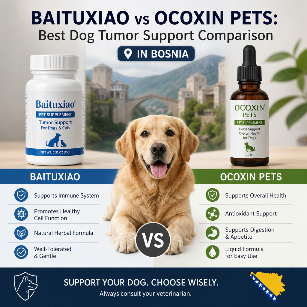 Baituxiao vs Ocoxin Pets illustration
