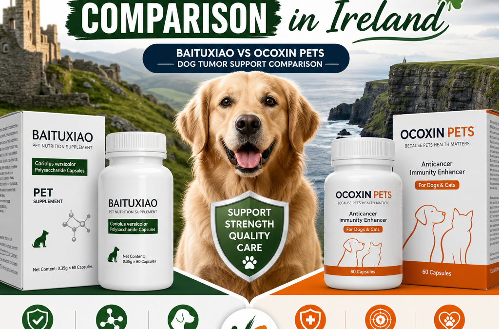 Baituxiao vs Ocoxin Pets: 7 Najlepszych Czynników Wsparcia Guzów dla Psów w Irlandii