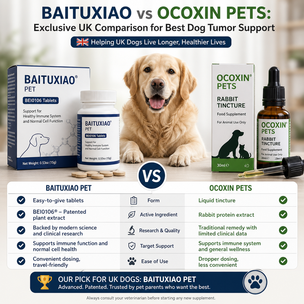 Ilustração de Baituxiao vs Ocoxin Pets