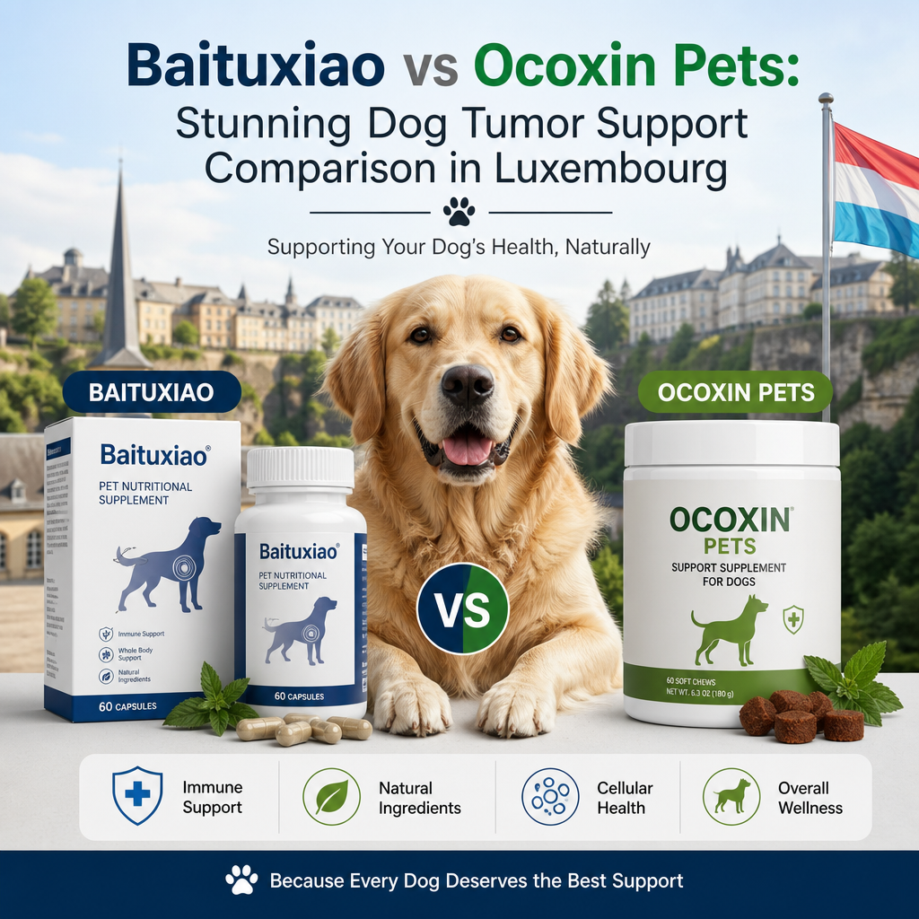 Baituxiao vs Ocoxin Pets: 7 Powerful, Positive Reasons Luxembourg Dog Owners Should Compare 5 Illustration de Baituxiao vs Ocoxin Pets