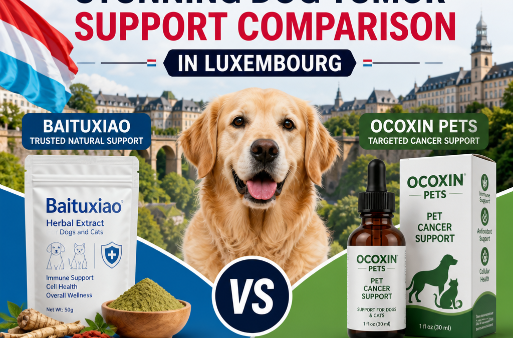 Baituxiao vs Ocoxin Pets: 7 Potężnych, Pozytywnych Powodów, dla Których Właściciele Psów w Luksemburgu Powinni Porównać