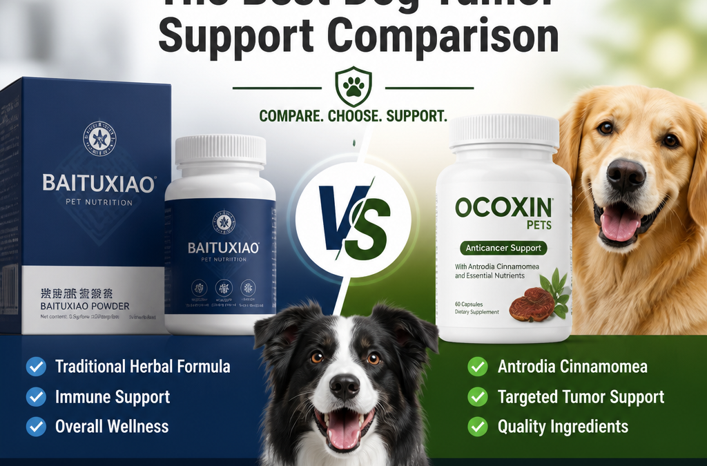 Baituxiao vs Ocoxin Pets: 7 Verificações Inteligentes de Suporte a Tumores em Cães