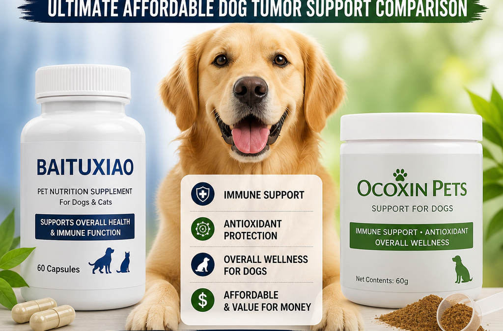 Baituxiao vs Ocoxin Pets: 7 Kluczowe Różnice dla Właścicieli Psów