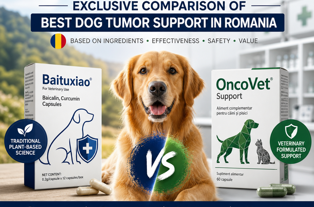 Baituxiao vs OncoVet: 7 Fatores Essenciais para Suporte a Tumores em Cães na Romênia