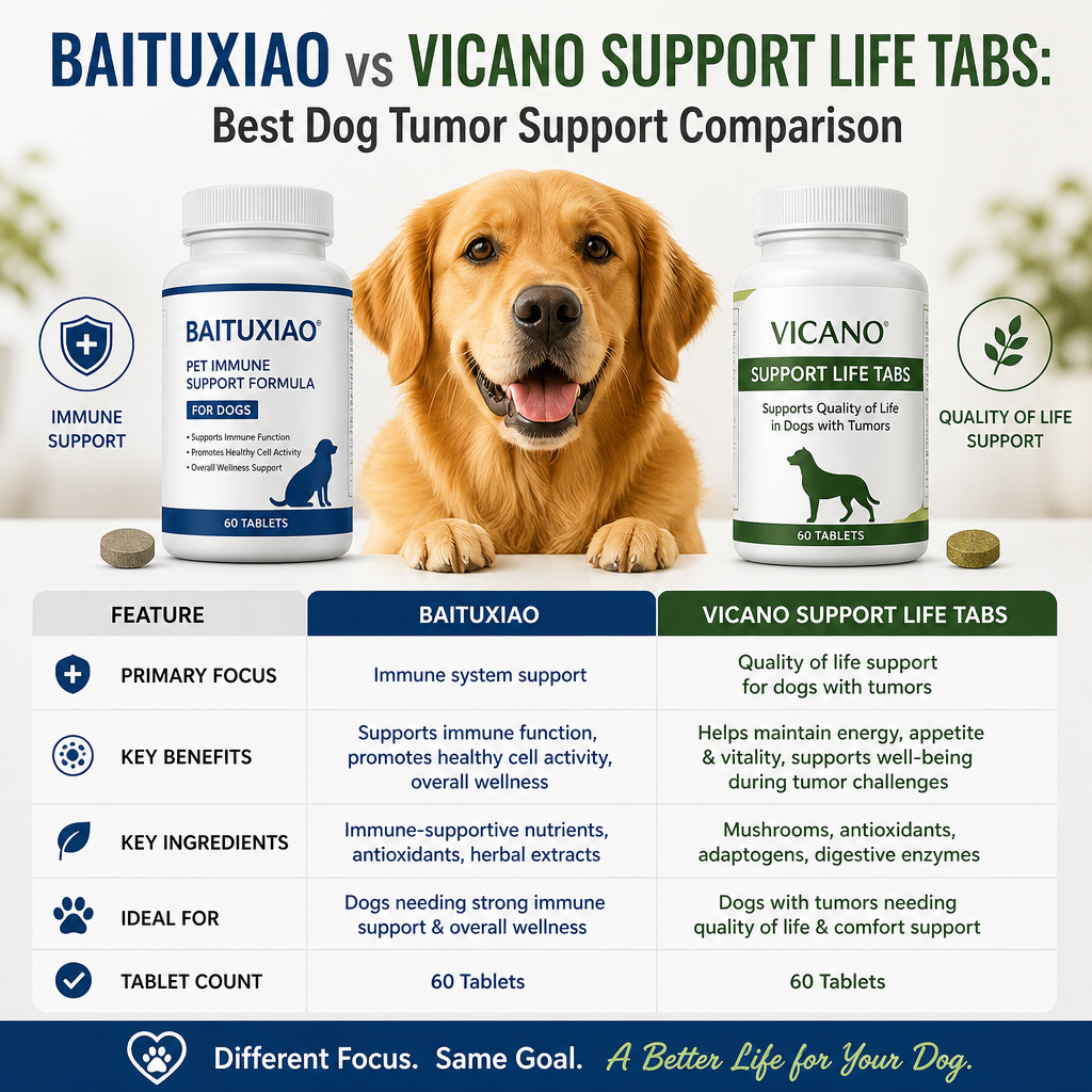Ilustração de Baituxiao vs Vicano Support Life Tabs
