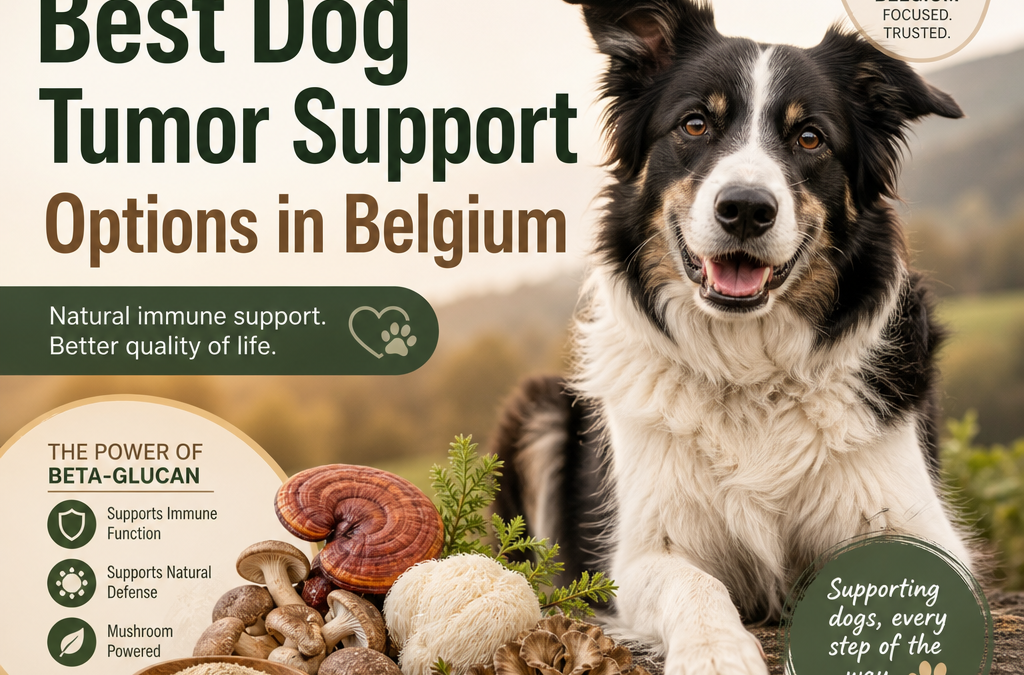 Beta-glucan / mushrooms / immune: 5 Best Dog Tumor Support Options in Belgium