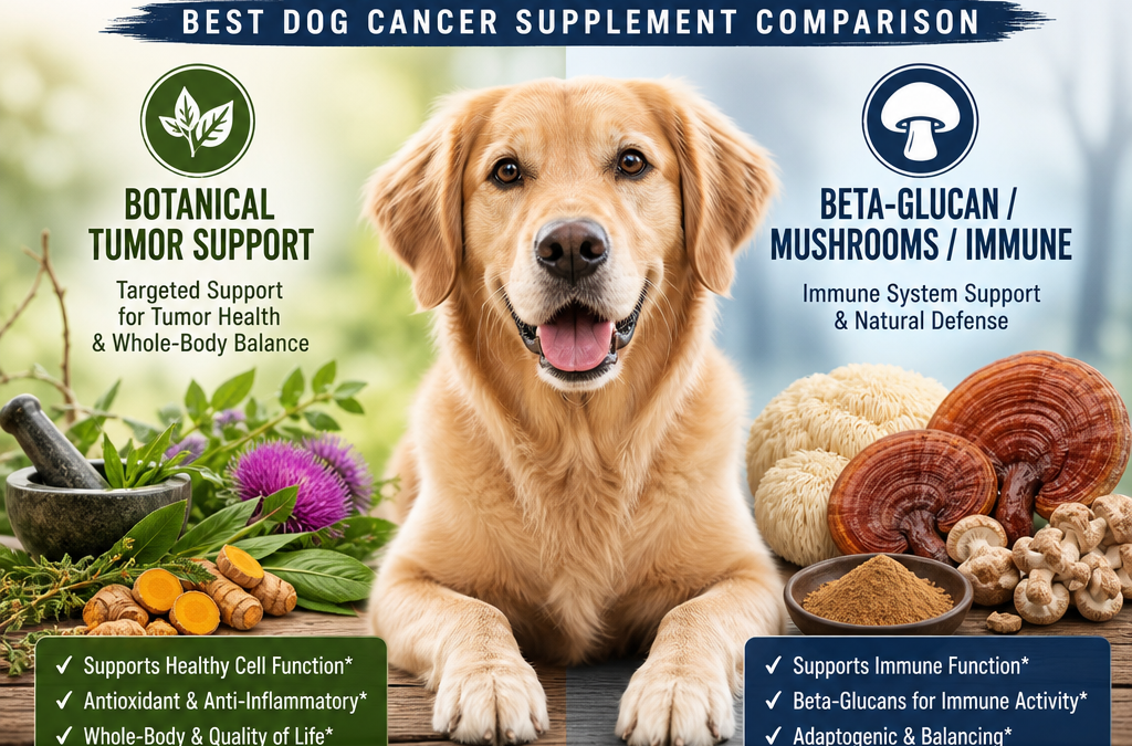 Botanical Tumor Support vs Beta-Glucan / Mushrooms / Immune: 7 Powerful Key Differences for Dog Owners in Belgium