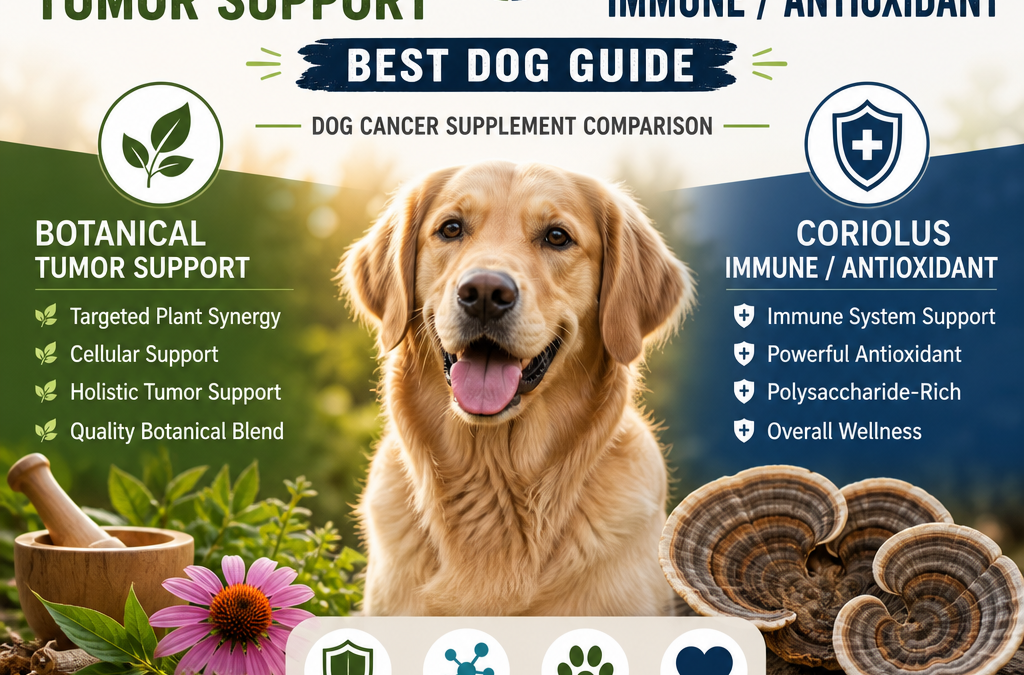 Botanical Tumor Support vs Coriolus / Immune / Antioxidant: 7 Best Dog Guide