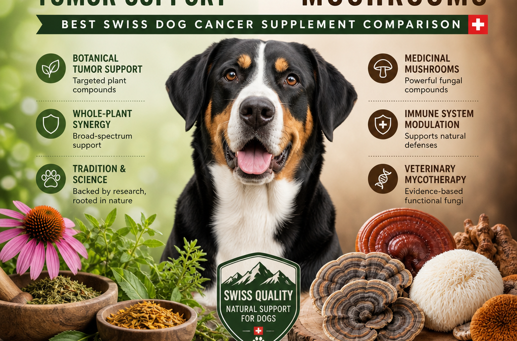 Suporte botânico para tumores vs Cogumelos medicinais / micoterapia veterinária: 7 Melhores Dicas de Suplementos para Câncer em Cães Suíços