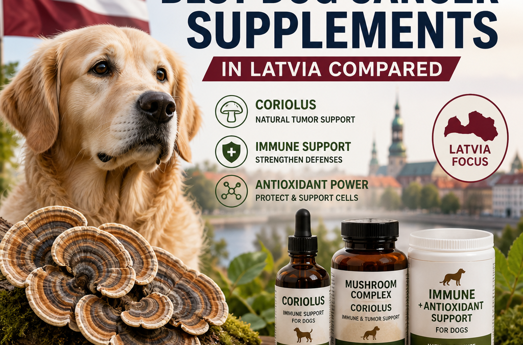 Coriolus / immune / antioxidant: 5 Best Dog Cancer Supplements in Latvia Compared