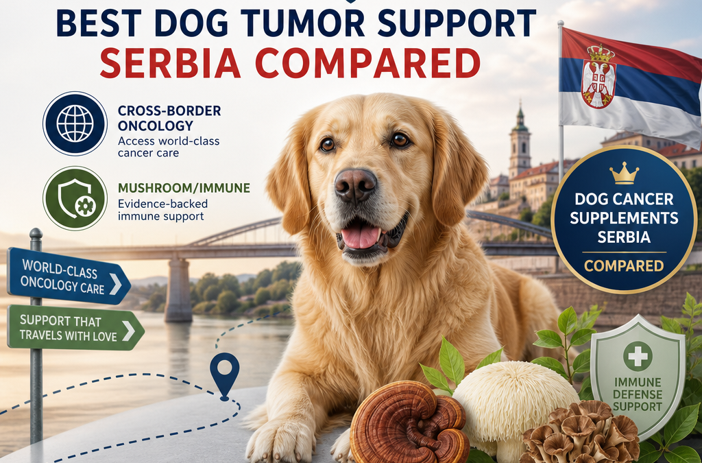 Oncologie transfrontalière + champignon/immune : 5 façons intelligentes de comparer le soutien aux tumeurs chez les chiens en Serbie