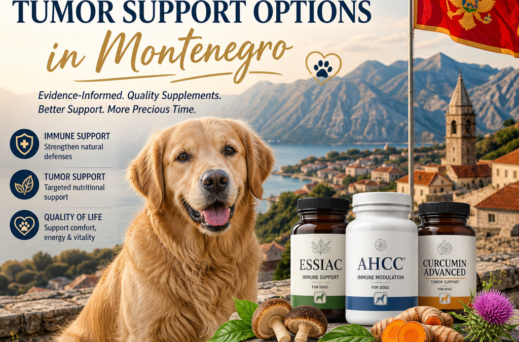 Oncologia / suplemento transfronteiriço: 7 melhores opções de suporte a tumores em cães em Montenegro